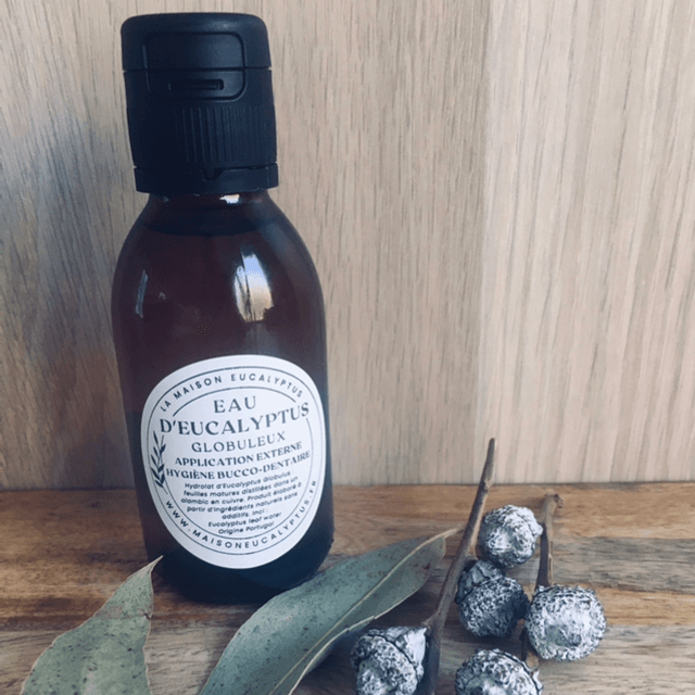 Eau d’Eucalyptus Globulus (Hydrolat)
